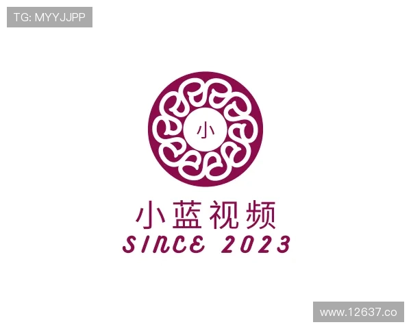 剖析小蓝视频